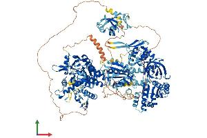 Protein Structure (PS) image for Nitric Oxide Synthase 1, Neuronal (NOS1) (AA 1-1429) protein (His tag) (ABIN7565257)