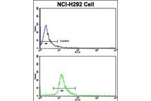 Flow cytometric analysis of NCI- cells using ELP2 Antibody (C-term)(bottom histogram) compared to a negative control cell (top histogram). (ELP2 Antikörper  (C-Term))
