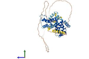 Protein Structure (PS) image for Nuclear Receptor Subfamily 1, Group H, Member 4 (NR1H4) (AA 1-488) protein (His tag) (ABIN7563868)