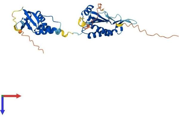 TNFAIP1 Protein (AA 1-316) (His tag)