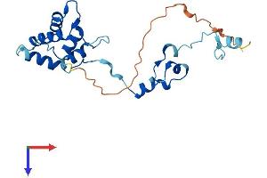 Tppp Protein (AA 1-218) (His tag)