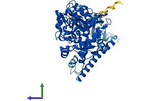 Protein Structure (PS) image for Cytochrome P450, Family 46, Subfamily A, Polypeptide 1 (CYP46A1) (AA 1-500) protein (His tag) (ABIN7556326)