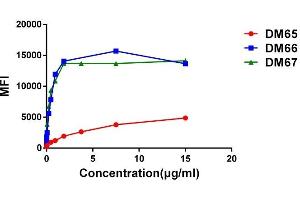 Affinity ranking of different Rabbit anti-4-1BB mAb clones by titration of different concentration onto Expi 293 cell line transfected with human 4-1BB. (CD137 Antikörper  (AA 24-186))