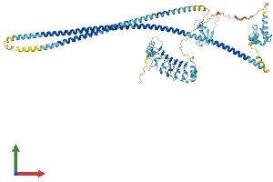Protein Structure (PS) image for Leucine Rich Repeat and Sterile alpha Motif Containing 1 (LRSAM1) (AA 1-723) protein (His tag) (ABIN7554427)