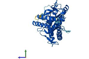 Protein Structure (PS) image for Mab-21-Like 1 (MAB21L1) (AA 1-359) protein (His tag) (ABIN7549199)