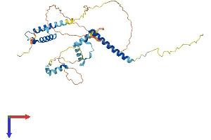 POLR2M Protein (AA 1-366) (His tag)