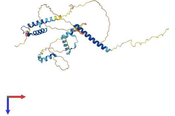 POLR2M Protein (AA 1-366) (His tag)