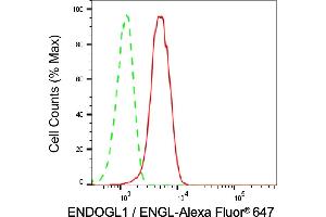 Flow cytometric analysis of Exo/Endonuclease G expression in HepG2 cells using Exo/Endonuclease G antibody (ABIN7798438), 1:2,000). (Rekombinanter EXOG Antikörper)