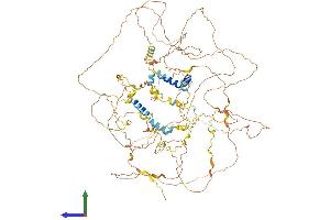 Protein Structure (PS) image for Synaptopodin (SYNPO) (AA 1-929) protein (His tag) (ABIN7555680)