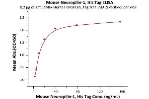 Immobilized Human VEGF165, Tag Free (MALS verified) (ABIN2181903,ABIN2693608,ABIN3071747) at 2 μg/mL (100 μL/well) can bind Mouse Neuropilin-1, His Tag (ABIN6992419) with a linear range of 2-10 ng/mL (QC tested). (Neuropilin 1 Protein (NRP1) (AA 22-856) (His tag))