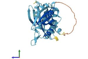 Protein Structure (PS) image for RWD Domain Containing 3 (RWDD3) (AA 1-267) protein (His tag) (ABIN7555290)