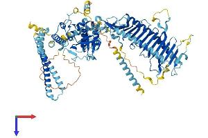 CCDC135 Protein (AA 1-874) (His tag)