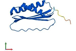 Protein Structure (PS) image for Dynein, Light Chain, Tctex-Type 1 (DYNLT1) (AA 1-113) protein (His tag) (ABIN7563396)