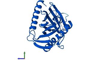 STARD5 Protein (AA 1-213) (His tag)