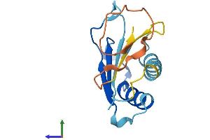 AlphaFold protein structure predicition of Human Recombinant DDTL Protein, UniprotID A6NHG4