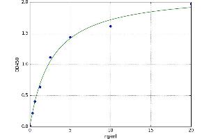 A typical standard curve