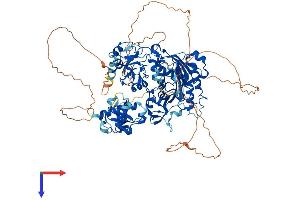DNMT3B Protein (AA 1-859) (His tag)