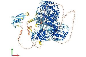 Protein Structure (PS) image for ATP-Dependent RNA Helicase A (DHX9) (AA 1-1270) protein (His tag) (ABIN7553666)