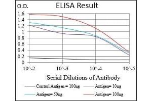 Black line: Control Antigen (100 ng), Purple line: Antigen(10 ng), Blue line: Antigen (50 ng), Red line: Antigen (100 ng), (Prolactin Antikörper  (AA 65-173))