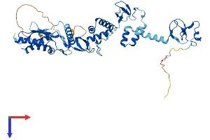 RNF14 Protein (AA 1-485) (His tag)
