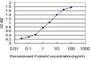 ELISA image for anti-Interleukin-1 Receptor-Associated Kinase 1 (IRAK1) (AA 530-693) antibody (ABIN561509)