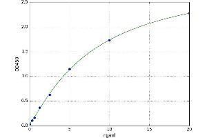A typical standard curve