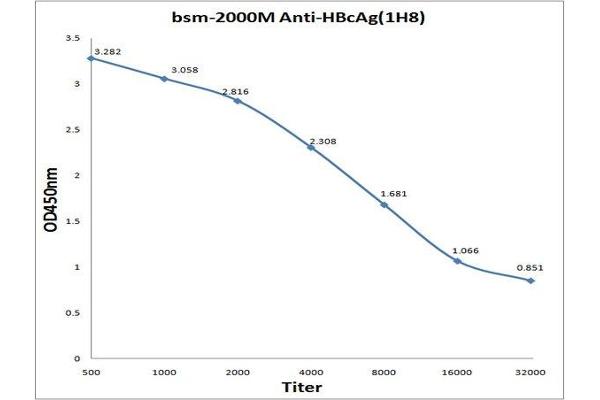 Hepatitis B Virus Core Antigen (HBcAg) Antikörper