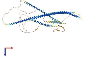 TNIP1 Protein (AA 1-647) (His tag)