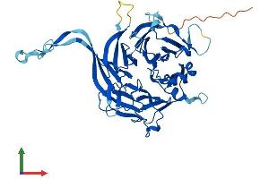 Protein Structure (PS) image for Protein Phosphatase 2, Regulatory Subunit B, delta (PPP2R2D) (AA 1-453) protein (His tag) (ABIN7560270)