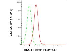 anti-RNA Guanylyltransferase and 5'-Phosphatase (RNGTT) antibody