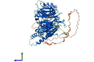 Protein Structure (PS) image for Leucine-Rich Repeat and WD Repeat-Containing Protein 1 (LRWD1) (AA 1-648) protein (His tag) (ABIN7564433)