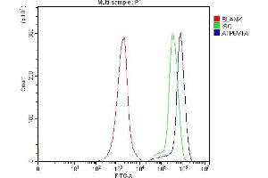 Flow Cytometry analysis of JK cells using anti-ATP6V1A antibody (ABIN7599916).