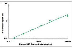 Representative Standard Curve (MIF ELISA Kit)