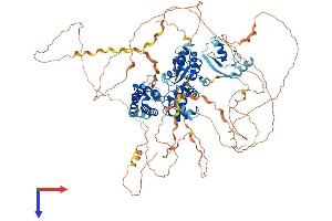 Cbl Proto-Oncogene B, E3 Ubiquitin Protein Ligase (CBLB) (AA 1-982) protein (His tag)