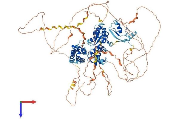 Cbl Proto-Oncogene B, E3 Ubiquitin Protein Ligase (CBLB) (AA 1-982) protein (His tag)