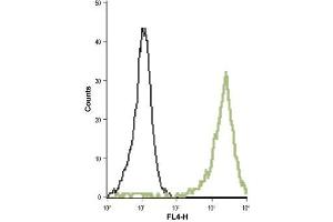 Cell surface detection of KV1.