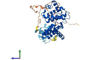 Protein Structure (PS) image for Cyclin O (CCNO) (AA 1-352) protein (His tag) (ABIN7562793)