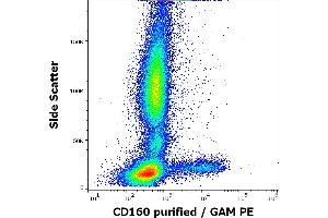 Flow cytometry surface staining pattern of human peripheral whole blood stained using anti-human CD160 (BY55) purified antibody (concentration in sample 5 μg/mL, GAM PE). (CD160 Antikörper)