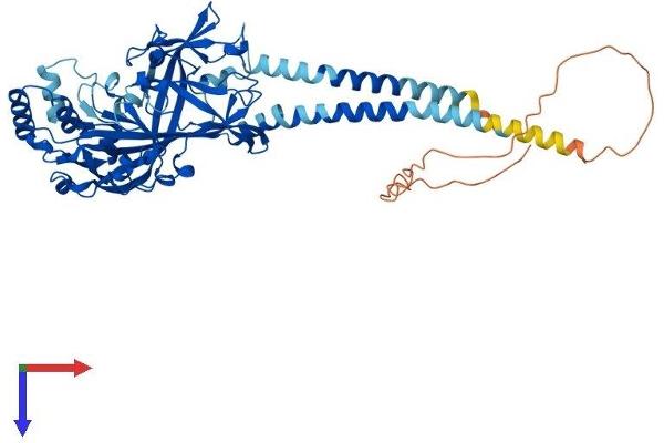 SCARB1 Protein (AA 1-552) (His tag)