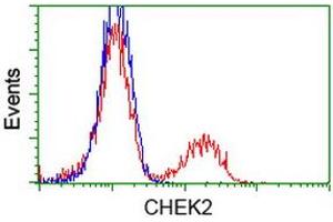 Flow Cytometry (FACS) image for anti-Checkpoint Kinase 2 (CHEK2) antibody (ABIN1497497)