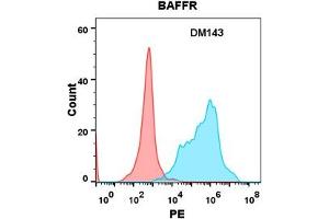 Flow cytometry analysis with Anti-BAFFR (DM143) on Expi293 cells transfected with human BAFFR (Blue histogram) or Expi293 transfected with irrelevant protein (Red histogram). (TNFRSF13C Antikörper  (AA 7-71))