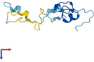 CRIPT Protein (AA 1-101) (His tag)