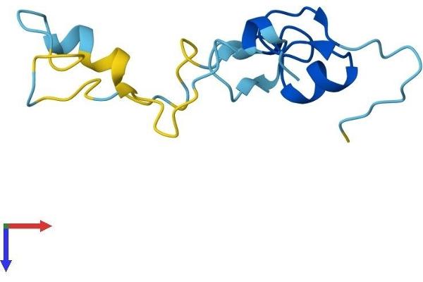CRIPT Protein (AA 1-101) (His tag)