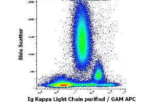 Flow cytometry surface staining pattern of human peripheral whole blood stained using anti-human Ig Kappa Light Chain (TB28-2) purified antibody (concentration in sample 0. (kappa Light Chain Antikörper)