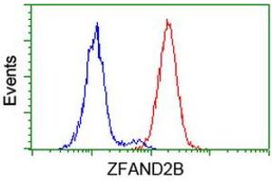 Image no. 2 for anti-Zinc Finger, AN1-Type Domain 2B (ZFAND2B) antibody (ABIN1501804) (ZFAND2B Antikörper)