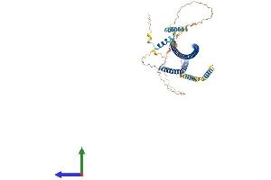 Protein Structure (PS) image for TRAF3 Interacting Protein 3 (TRAF3IP3) (AA 1-513) protein (His tag) (ABIN7559071)