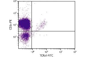 CD-1 mouse mesenteric lymph node cells were stained with Hamster Anti-Mouse TCRγδ-FITC. (TCRgd Antikörper (FITC))