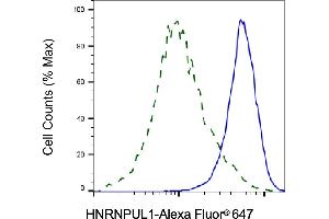 Validation of HNRNPUL1 knockdown using flow cytometry. (Rekombinanter HNRNPUL1 Antikörper)
