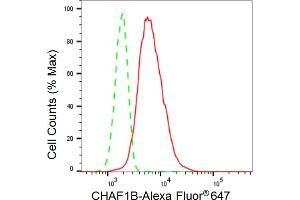 Flow cytometric analysis of CHAF1B expression in HT- cells using CHAF1B antibody (ABIN7798060), 1:2,000). (Rekombinanter CHAF1B Antikörper)