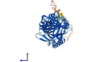 Protein Structure (PS) image for serpin Peptidase Inhibitor, Clade B (Ovalbumin), Member 10 (SERPINB10) (AA 1-397) protein (His tag) (ABIN7559475)